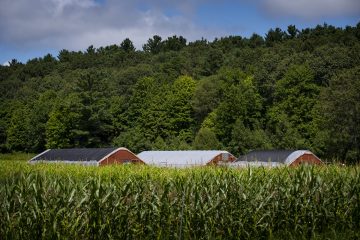 Greenhouses at the New Entry Farm