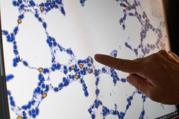 A hand points at a screen showing a detail of cell structures from data gathered in the lab.