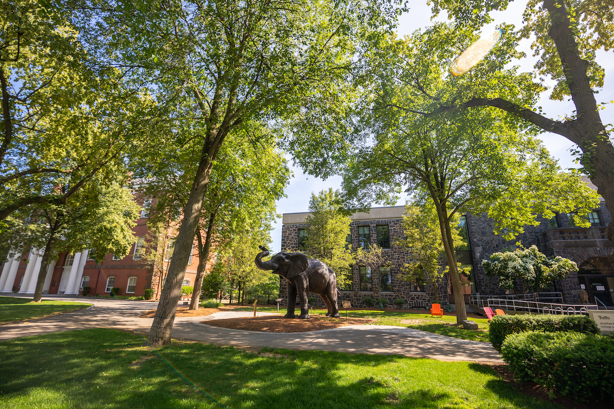 A statue of Jumbo sits under trees in front of Barnum Hall.