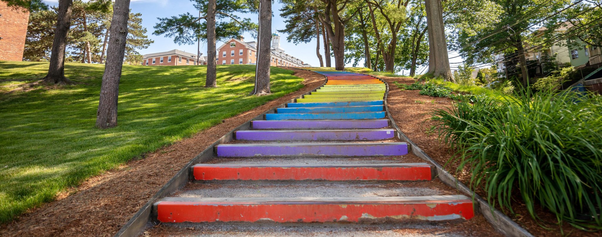Rainbow stairs go up the hill on campus